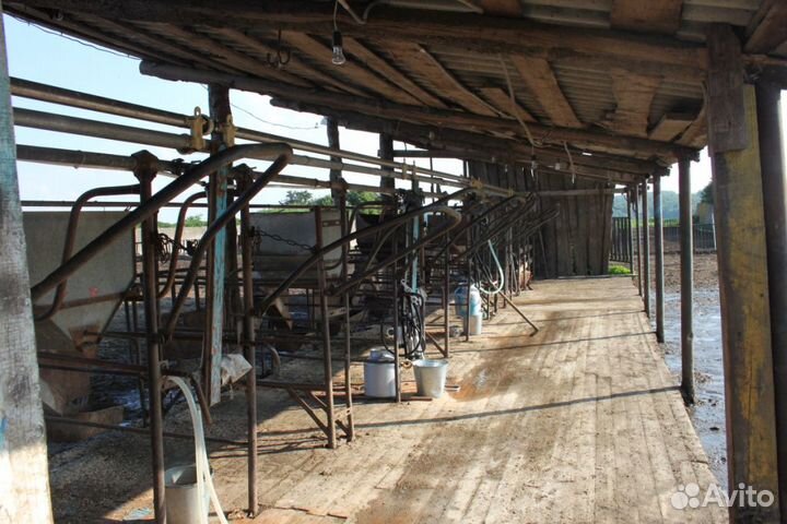 Фермерское хозяйство