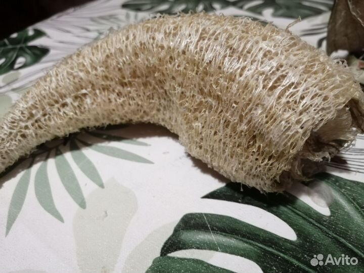 Семяна люфы. Цена за 10 шт