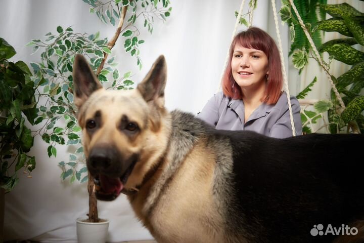 Психолог/ Психологическая помощь/ психолог онлайн