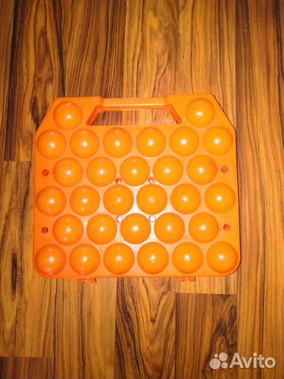 Яйцеклетка