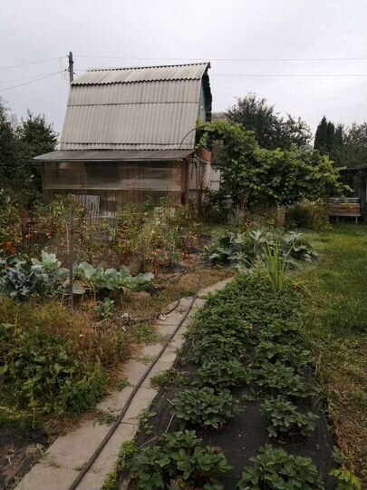 Дача 38 м² на участке 5 сот.