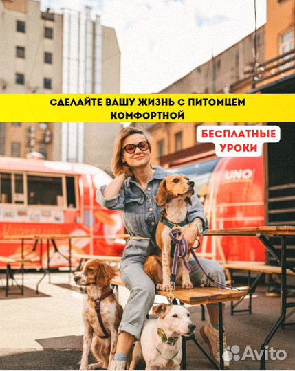 Дрессировка и воспитание собак Кинолог Зоопсихолог