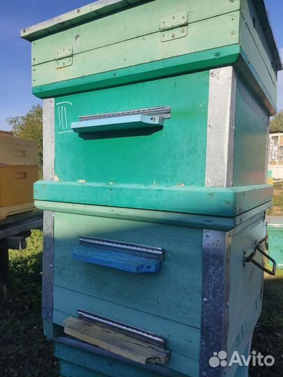 Улей дадан 10 и 12 рамочные