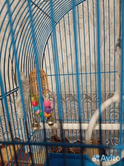 Клетка для попугая