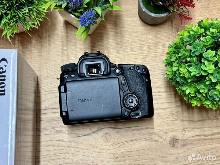 Canon EOS 70d Body