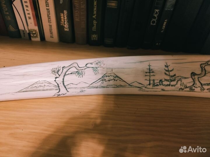 Клык(бивень) моржа(имитация)