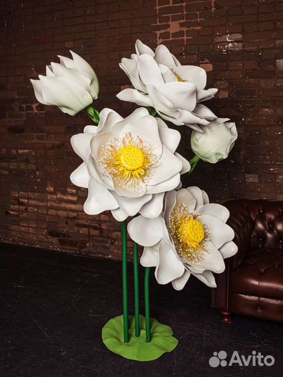 Ростовые цветы