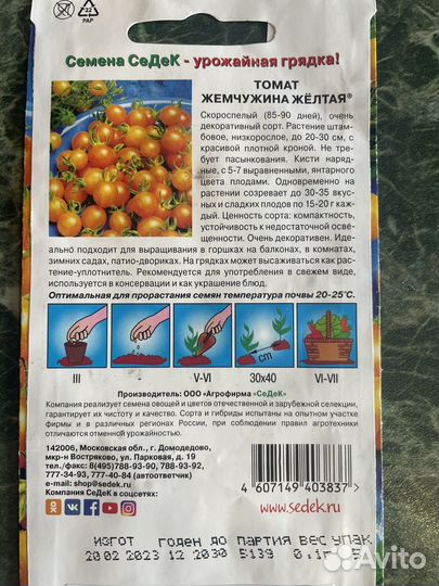 Рассада помидор