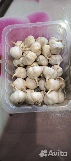 Лук и чеснок