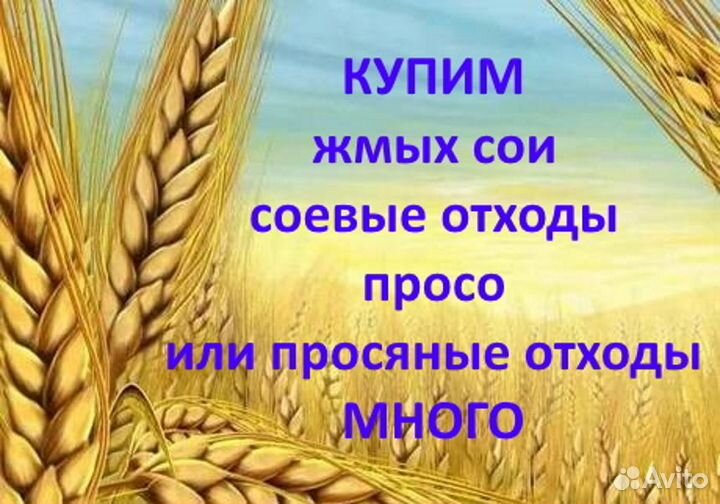 Корма для животных