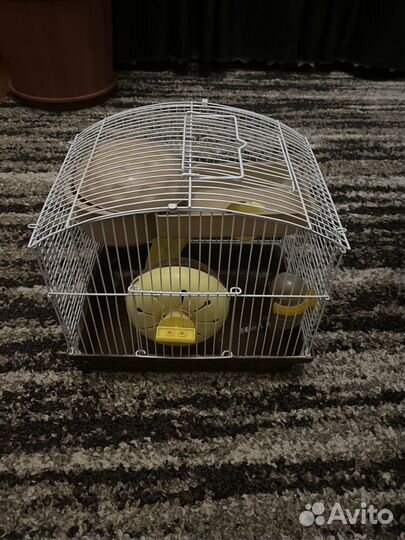 Клетка для хомяка бу