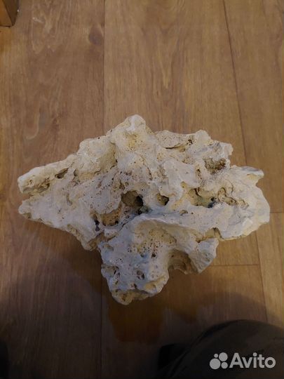 Камень для аувариума