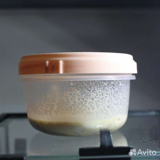 Стартовый корм для мальков