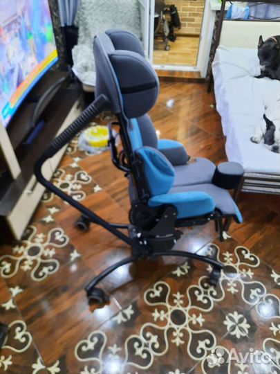 Коляска детская для дцп hoggi bingo evolution