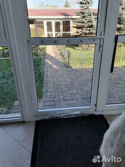 Шторка для животных (1 полоса 200)