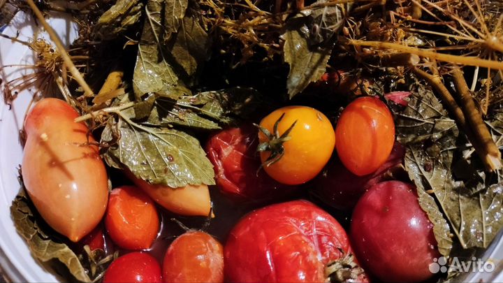 Домашнее соленья