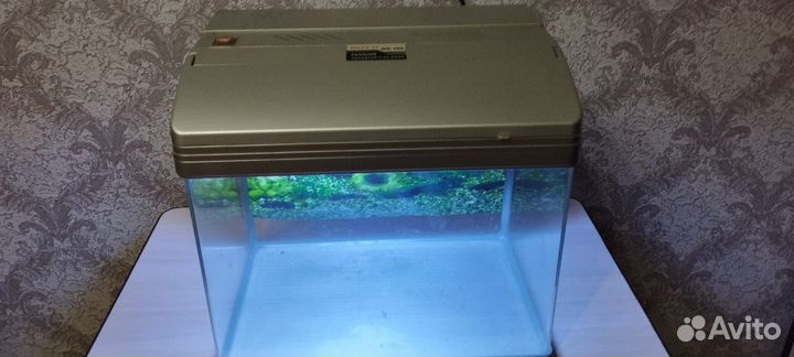 Аквариум с подсветкой 25 литров