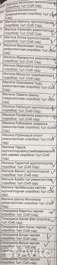 Саженцы плодовых деревьев,все для сад/огород