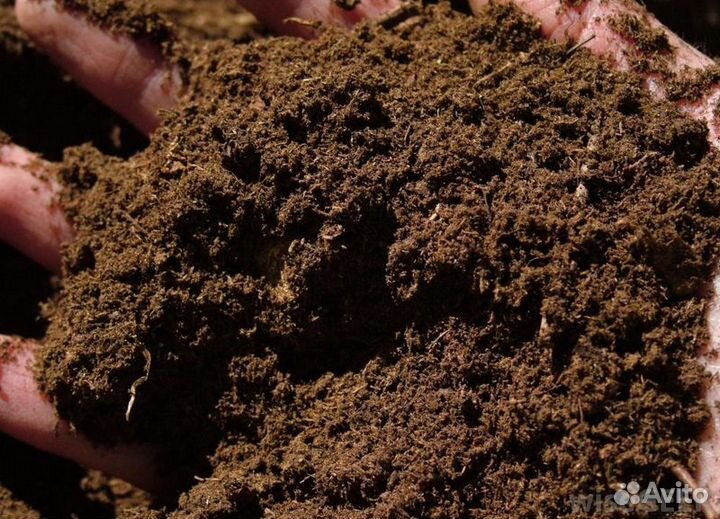 Почва, почвогрунт