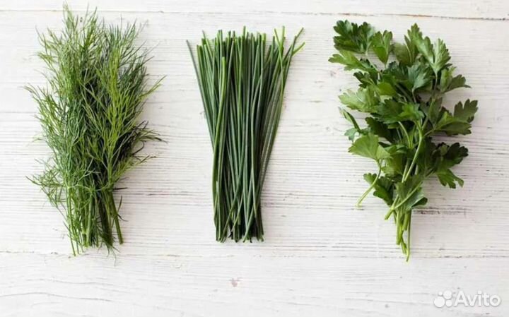 Летние свежие травы