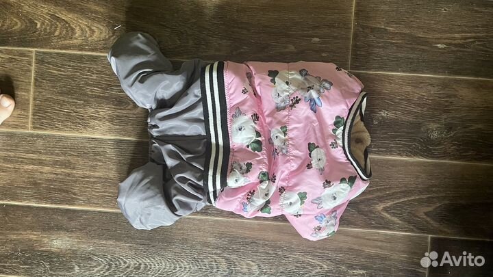 Одежда для собак