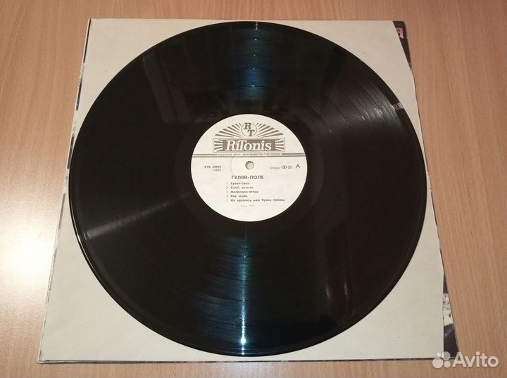 Гуляй Поле И Братья Махно 