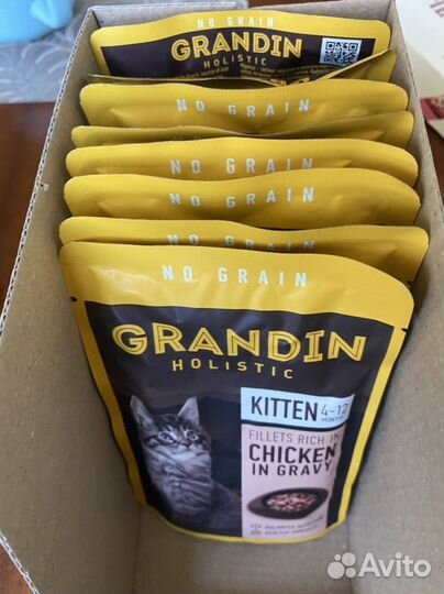 Влажный корм для котят