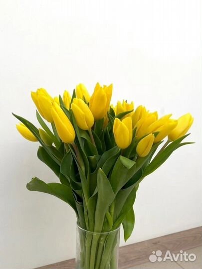 Тюльпаны к 8 марта Санкт-Петербург