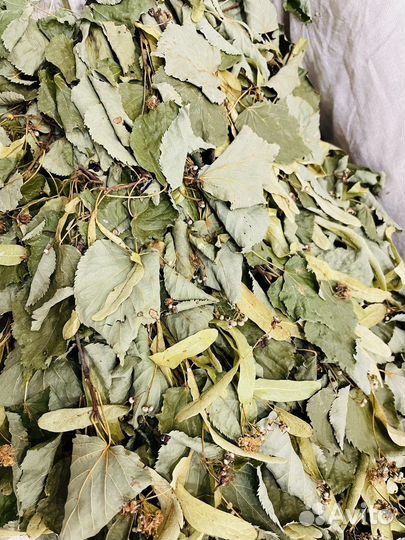 Веник для бани и сауны «Липовый цвет»