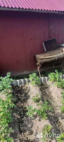 Сетка рабица б/у