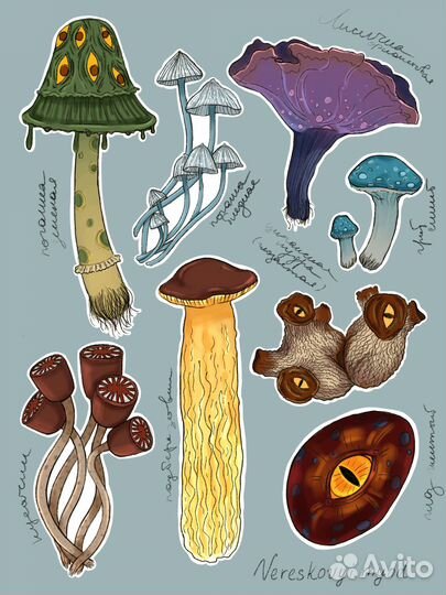 Художник иллюстратор