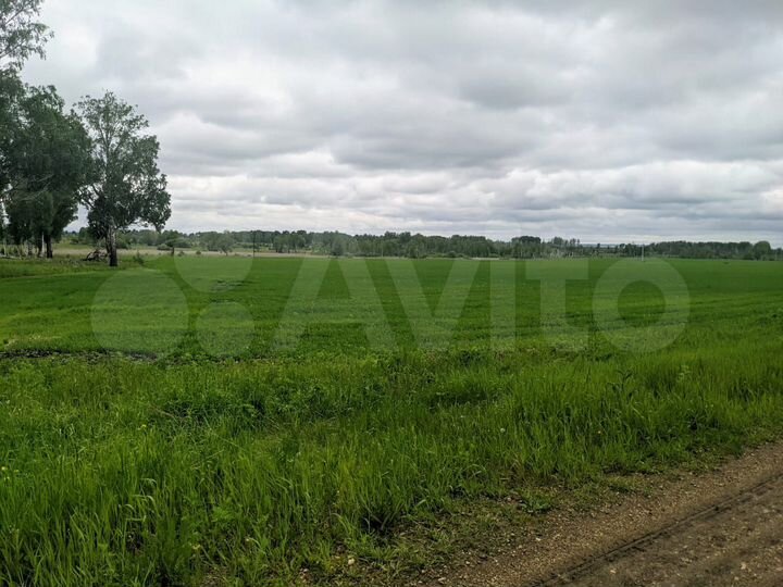 Участок 81,09 га (СНТ, ДНП)