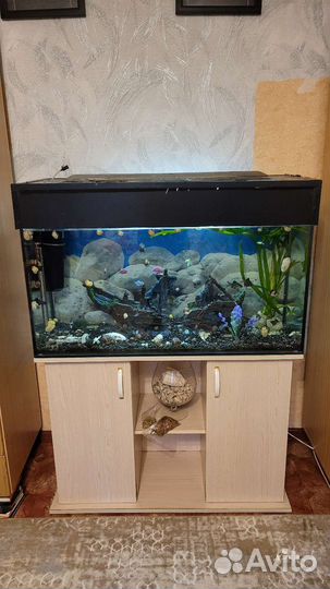 Аквариум