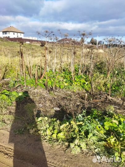 Приму бой бетона, кирпича,асфальта, грунта