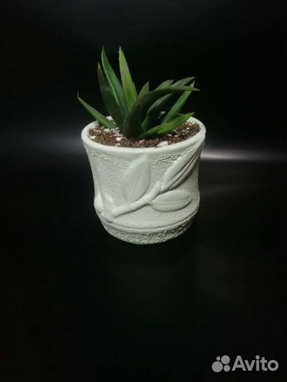 Кашпо Горшки для цветов из гипса