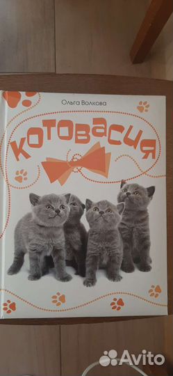 Книга про кошек