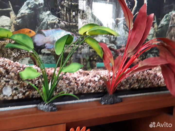 Украшение для аквариума