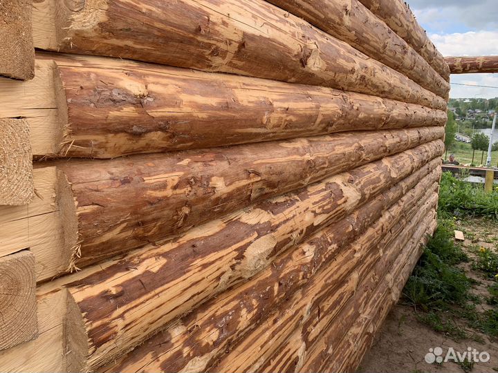 Сруб бани 3х5