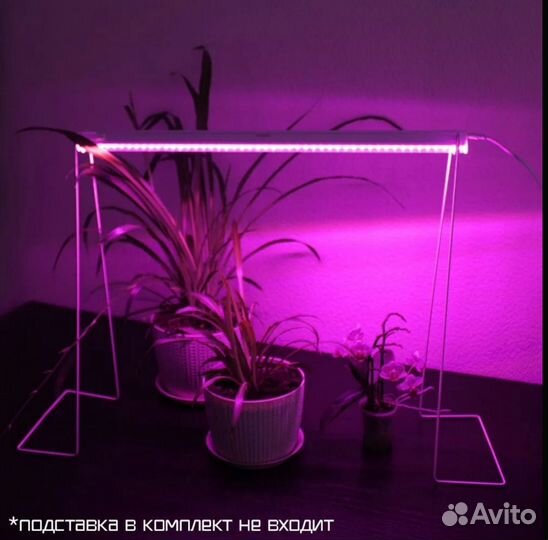 Фитолампа для растений