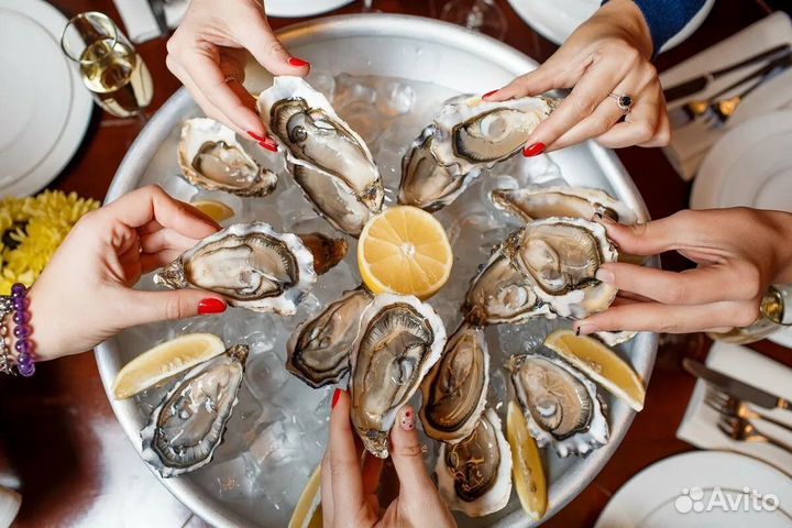Живые устрицы Севастополь