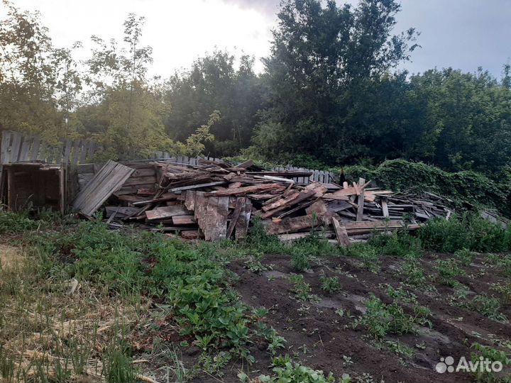 Отдам дрова бесплатно
