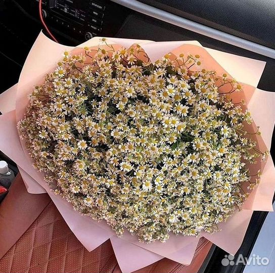 Букеты ромашек