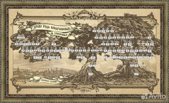 Исследование рода / оформление древа