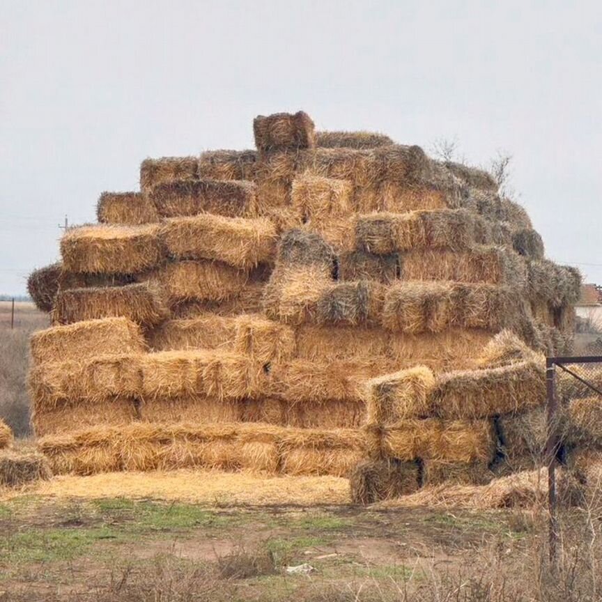 Солома ячменная в тюках