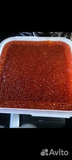 Красная икра 2023