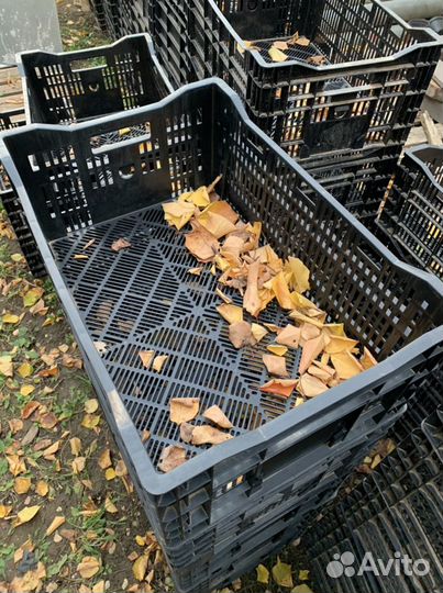 Ящик пластиковый