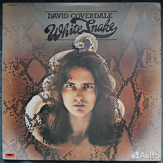 David Coverdale/ Whitesnake/ 1976-77 oyster/ MWF