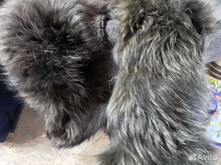 Меховой воротник енот новый