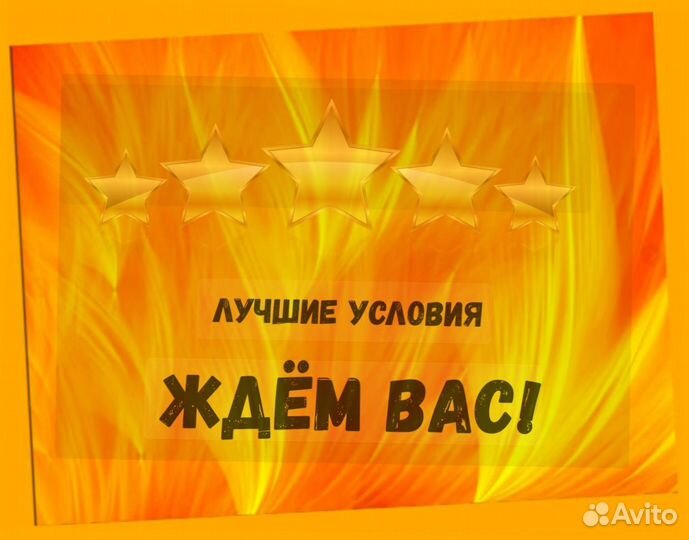 Доработчик куриных лапок Вахта Аванс еженедельно М