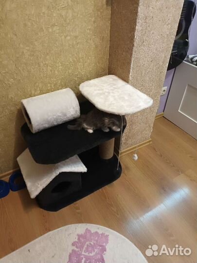 Домик для кошки с когтеточкой